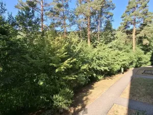 Prodej bytu 3+1, Adamov, Petra Jilemnického, 69 m2