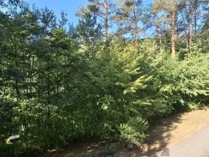 Prodej bytu 3+1, Adamov, Petra Jilemnického, 69 m2