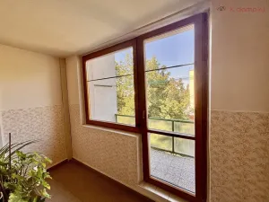 Prodej bytu 3+kk, Vyškov - Brňany, Palánek, 88 m2