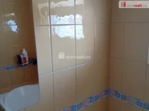 Pronájem bytu 3+kk, Bořanovice, Hlavní, 15 m2