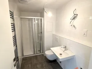 Prodej bytu 1+kk, Hradec Králové, Pod Zámečkem, 30 m2