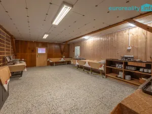 Prodej restaurace, Františkovy Lázně, Jezerní, 8616 m2