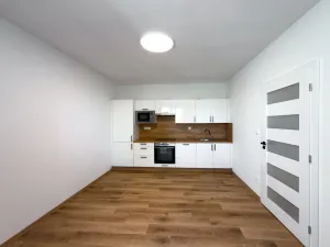 Pronájem bytu 2+kk, České Budějovice - České Budějovice 2, K. Chocholy, 42 m2