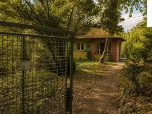 Prodej pozemku pro bydlení, Plzeň - Litice, Výsluní, 1165 m2