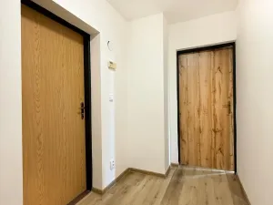 Pronájem bytu 2+1, Háj u Duchcova, Kubátova, 45 m2
