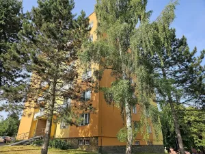 Pronájem bytu 1+1, Plzeň, Lazaretní, 45 m2
