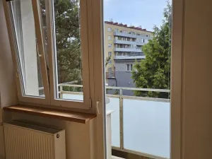 Pronájem bytu 1+1, Plzeň, Lazaretní, 45 m2