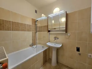 Pronájem bytu 1+1, Plzeň, Lazaretní, 45 m2