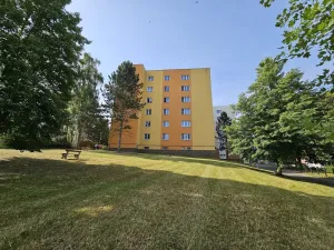 Pronájem bytu 1+1, Plzeň, Lazaretní, 45 m2