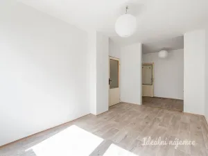 Pronájem bytu 2+kk, Kladno - Kročehlavy, Holandská, 50 m2