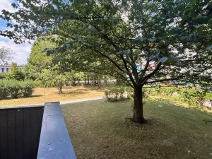 Pronájem bytu 3+1, Hradec Králové, Čajkovského, 84 m2