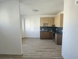 Pronájem bytu 2+kk, Praha - Holešovice, Osadní, 46 m2