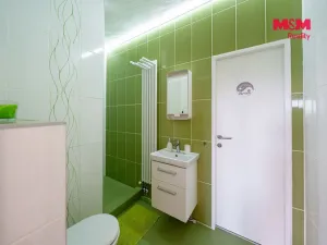 Prodej rodinného domu, Bošovice, Vyhlídka, 250 m2