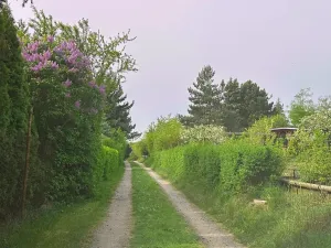 Prodej chaty, Kralupy nad Vltavou, 16 m2