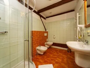 Prodej ubytování, Telč - Telč-Štěpnice, Slavatovská, 844 m2
