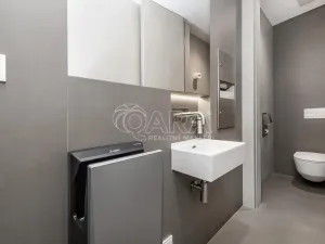 Pronájem obchodního prostoru, Praha - Žižkov, Jeseniova, 240 m2