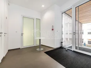 Pronájem obchodního prostoru, Praha - Žižkov, Jeseniova, 240 m2