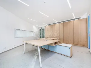 Pronájem obchodního prostoru, Praha - Žižkov, Jeseniova, 240 m2