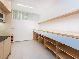 Pronájem obchodního prostoru, Praha - Žižkov, Jeseniova, 240 m2