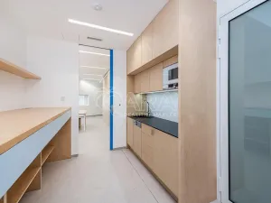 Pronájem obchodního prostoru, Praha - Žižkov, Jeseniova, 240 m2