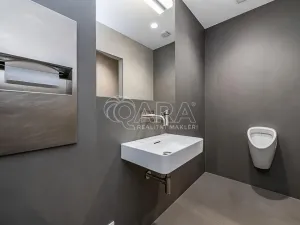 Pronájem obchodního prostoru, Praha - Žižkov, Jeseniova, 240 m2