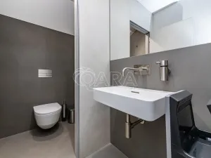 Pronájem obchodního prostoru, Praha - Žižkov, Jeseniova, 240 m2