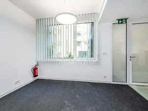 Pronájem obchodního prostoru, Praha - Žižkov, Jeseniova, 240 m2