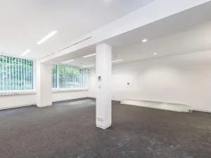 Pronájem obchodního prostoru, Praha - Žižkov, Jeseniova, 240 m2