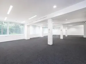 Pronájem obchodního prostoru, Praha - Žižkov, Jeseniova, 240 m2