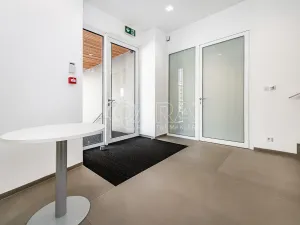 Pronájem obchodního prostoru, Praha - Žižkov, Jeseniova, 240 m2
