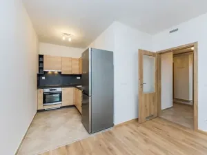 Pronájem bytu 2+kk, Praha - Hodkovičky, Šífařská, 47 m2