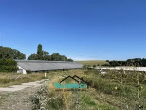 Prodej zemědělského objektu, Uhřice, 3167 m2