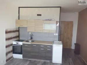 Pronájem bytu 1+1, Chomutov, Písečná, 36 m2