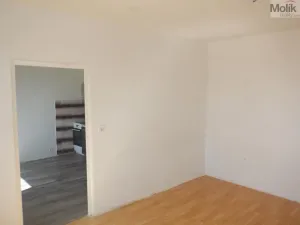 Pronájem bytu 1+1, Chomutov, Písečná, 36 m2