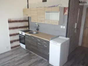 Pronájem bytu 1+1, Chomutov, Písečná, 36 m2