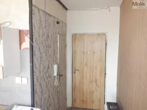 Pronájem bytu 1+1, Chomutov, Písečná, 36 m2