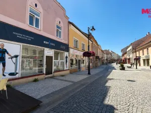 Pronájem obchodního prostoru, Louny, Pražská, 170 m2