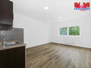 Prodej bytu 2+kk, Radnice, Na Potocích, 49 m2