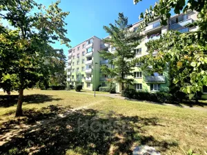 Prodej bytu 2+kk, Praha - Hostivař, Bělinského, 36 m2