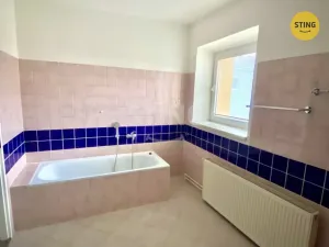 Pronájem bytu 1+1, Opava - Vávrovice, Držkovická, 61 m2