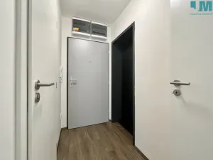 Pronájem bytu 1+kk, Třebíč - Horka-Domky, Mrštíkova, 24 m2