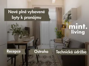 Pronájem bytu 1+kk, Plzeň - Skvrňany, Františka Kováříka, 39 m2