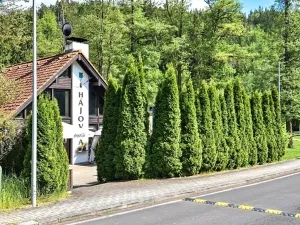 Prodej rodinného domu, Karlovy Vary, Slovenská, 162 m2