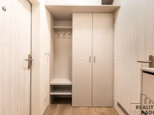 Pronájem bytu 1+kk, Ostrava - Polanka nad Odrou, Hraničky, 27 m2