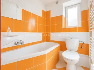 Prodej rodinného domu, Dolní Dunajovice, Hlavní, 244 m2