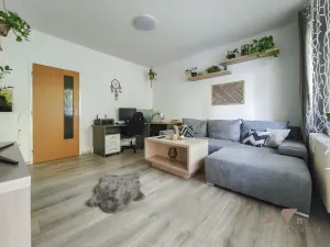 Prodej bytu 3+1, Zlín, Okružní, 67 m2