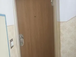 Prodej bytu 4+1, Vyškov - Vyškov-Předměstí, Hybešova, 92 m2