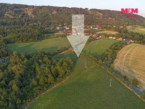 Prodej pole, Žlebské Chvalovice, 10056 m2