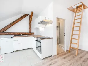 Pronájem bytu 1+kk, České Budějovice, Matice školské, 40 m2