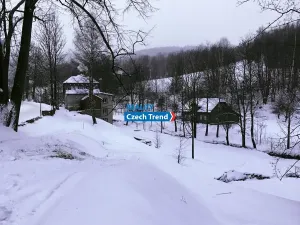 Pronájem rodinného domu, Zlaté Hory, 170 m2